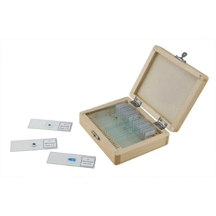 [CEL-44410] 25 Piece Prepared Microscope Slide Kit